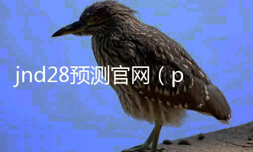 jnd28预测官网（pc28预测攻略）
